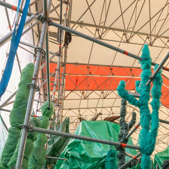 Telinekataja BigBotanic rauma